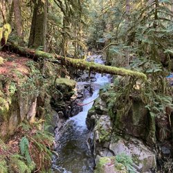 Cypress Falls Park - April 13, 2025.