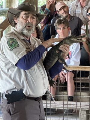 Gator Park by null
