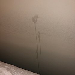 Hampton Inn Perry - On the wall