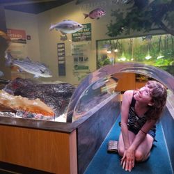 Save the Bay - Tank