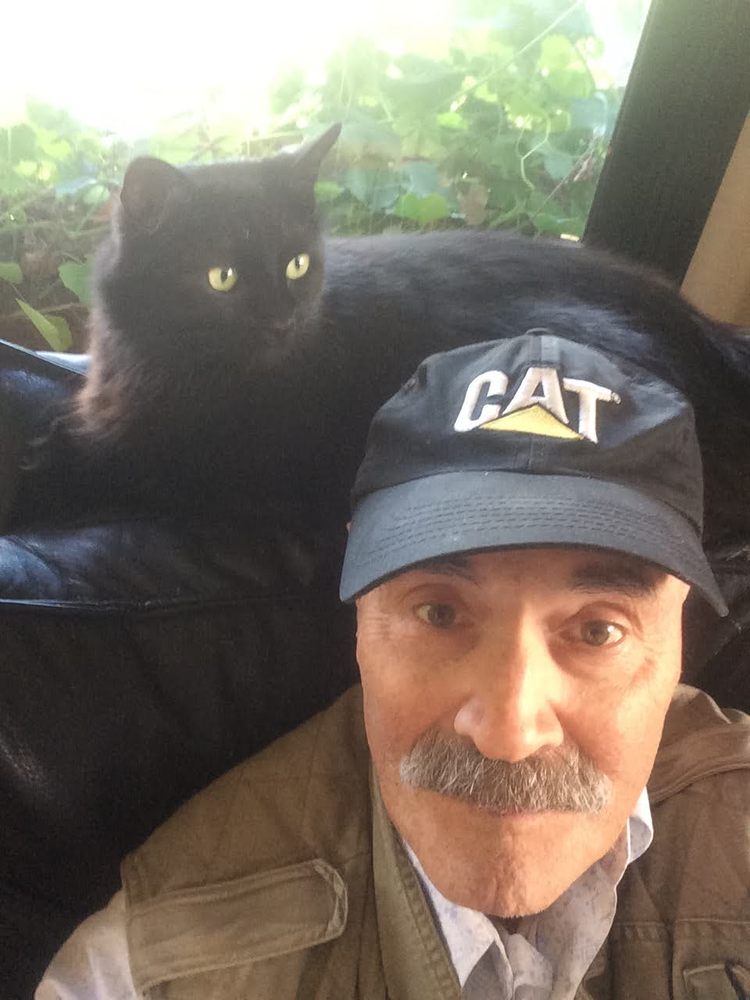 PIEDMONT PINES PETS 16 Photos & 31 Reviews Oakland, CA Yelp