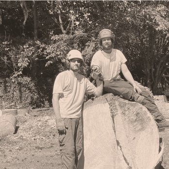 Hanson Tree Service - Tree Services Near Me Hanson Tree Service - Tree Services Near Me
