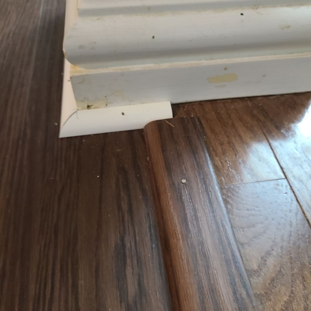 Empire Today - This is a support beem! Part of it is just hanging off. They tried to hide it with trim. - Carpet Installation Near Me Empire Today - This is a support beem! Part of it is just hanging off. They tried to hide it with trim. - Carpet Installation Near Me