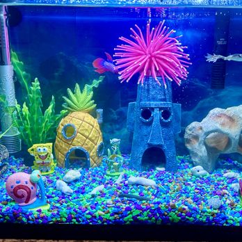 PetSmart - Pet Stores Near Me - El Segundo, California PetSmart - Pet Stores Near Me - El Segundo, California