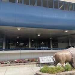 Buffalo General Medical Center - Main entrance