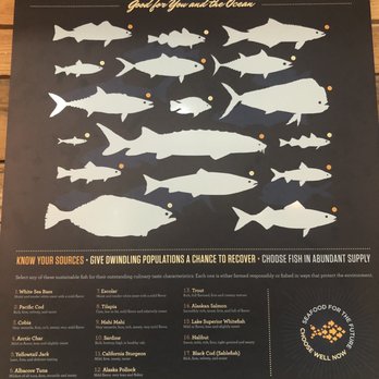Slapfish - A wall chart explaining which fish species are the most plentiful and healthy. - Seafood Near Me - Noblesville, Indiana Slapfish - A wall chart explaining which fish species are the most plentiful and healthy. - Seafood Near Me - Noblesville, Indiana