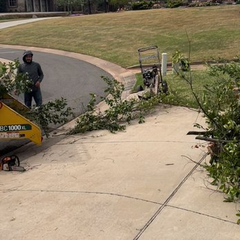 Ricardo’s Tree Service - Tree Services Near Me - Piedmont, Oklahoma Ricardo’s Tree Service - Tree Services Near Me - Piedmont, Oklahoma