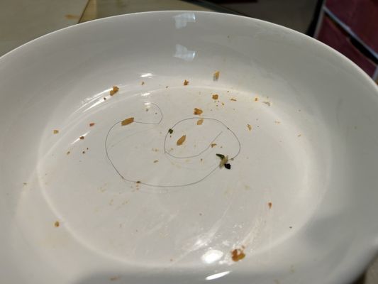 El Charrito Express by null