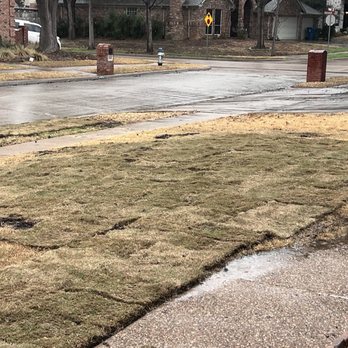 LTI Sales - Just layed. - Artificial Turf Near Me - Lewisville, Texas LTI Sales - Just layed. - Artificial Turf Near Me - Lewisville, Texas