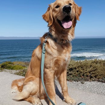 Mussel Rock Park - Dog-friendly hike (must be on leash) - Beaches Near Me - Daly City, California Mussel Rock Park - Dog-friendly hike (must be on leash) - Beaches Near Me - Daly City, California