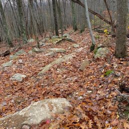 This is an ATV trail