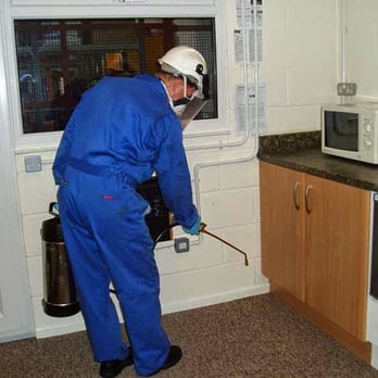 Green Pest Control - Pest Control Near Me - Kannapolis, North Carolina