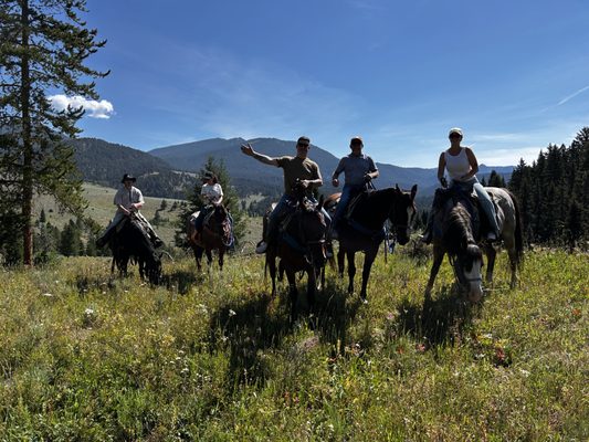 Jake's Horses Inc. by null