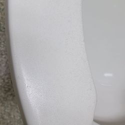 Talecris Plasma Resources - Toilet seat, women's restroom