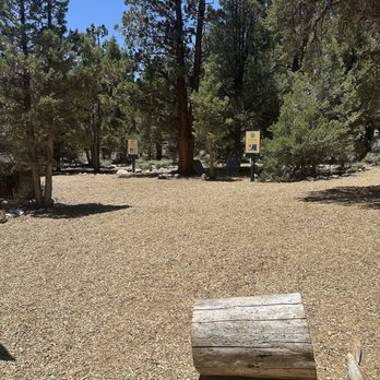 Big Bear Discovery Center - Outdoor activity area for kids to explore - Hiking Near Me - Fawnskin, California Big Bear Discovery Center - Outdoor activity area for kids to explore - Hiking Near Me - Fawnskin, California