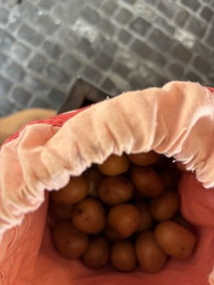 Zunfthaus zur Zimmerleuten by null