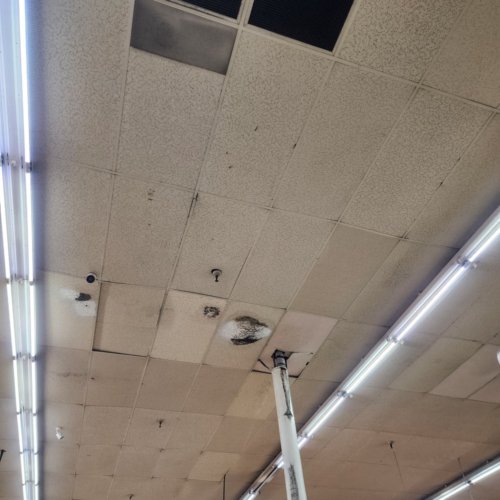 Mold infested ceiling tiles. Mold infested ceiling tiles.