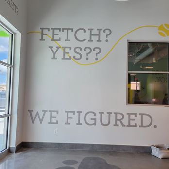PetSuites Spring Rayford - Pet Boarding Near Me - Spring, Texas