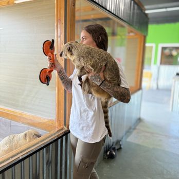 The Reptile Zoo - Zoos Near Me - Monroe, Washington
