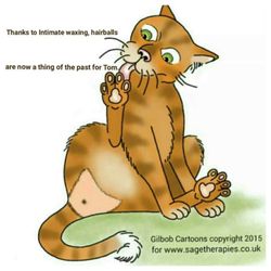 Sage Therapies - Intimate waxing for men and women