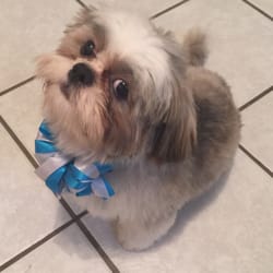 I'm sexy and I know it! Lol
