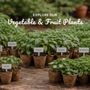 Photo of Talk Dirt to Me