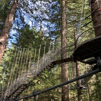 Redwoods Treewalk & Nightlights - Parks Near Me - Rotorua, BOP