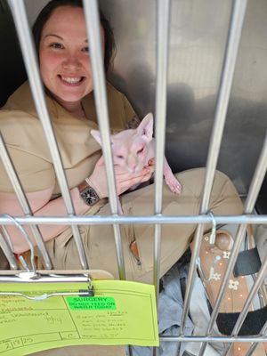 Burnt Hills Veterinary Hospital by null