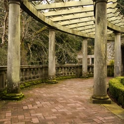Biblioteca Nazionale Braidense - Pergola