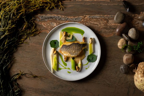 The Simon at Reston Station by null