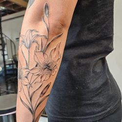 Lilies by Rosa