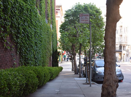 Bohemian Club by null