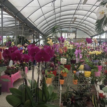 A Heavenly Garden - Take a look around. - Nurseries & Gardening Near Me - Miami, Florida