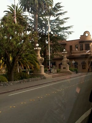 Viña del Mar Park by null