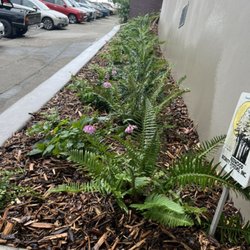 Landscape Services - Plants