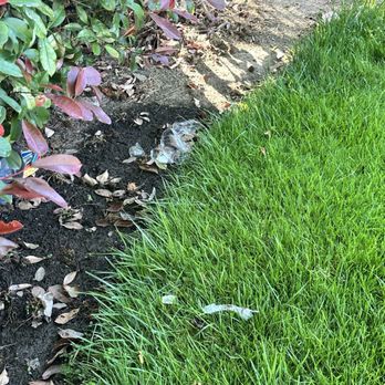 Camden Village Apartments - Garbage that maintenance ignores - Apartments Near Me - fremont, California
