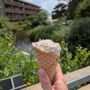 The Village Scoop