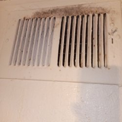 Jenkins Companies - Mold coming out of the living room vent, been here since oct or nov of 2022. Told to use some bleach...what about the insides?