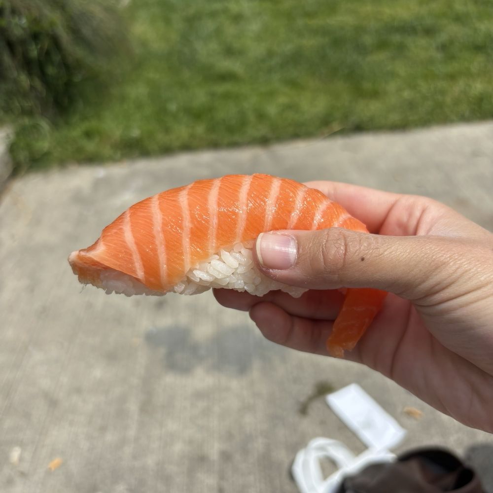 Titanic Salmon Sushi Box Titanic Salmon Sushi Box