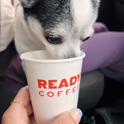 Ready Coffee - Pup cup