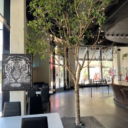 Heaven’s Kitchen - The beautiful tree that surrounds our visitors