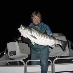 Big striper
