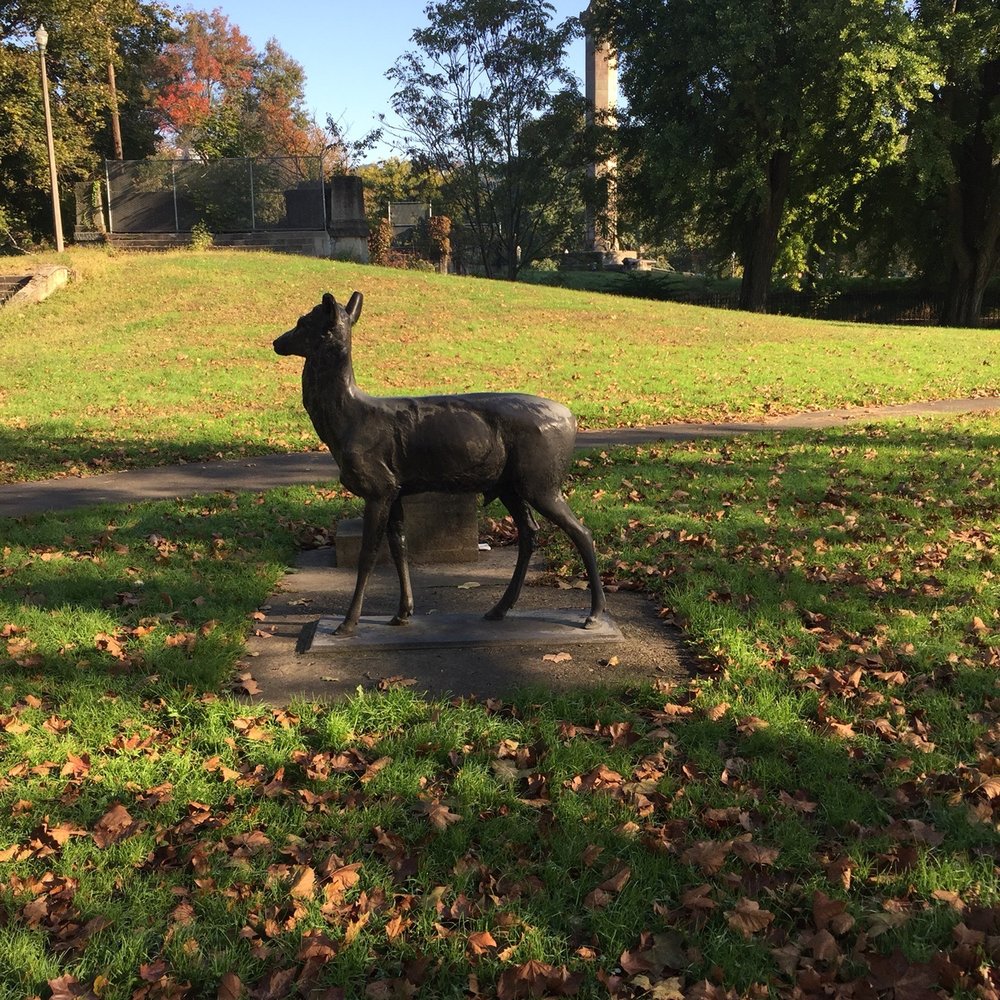Allegheny Commons Park - Really tame deer - Parks Near Me - Pittsburgh, Pennsylvania