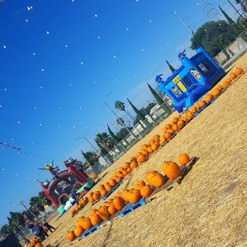 Palomar St Pumpkin Patch - Farms Near Me Palomar St Pumpkin Patch - Farms Near Me