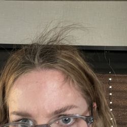 Kharma Salons - Damage as a result of back combing my hair to 'melt' in the dye.