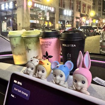 Molly Tea - Bubble Tea Near Me - Boston, Massachusetts