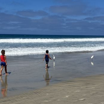Torrey Pines State Reserve - Parks Near Me - La Jolla, California
