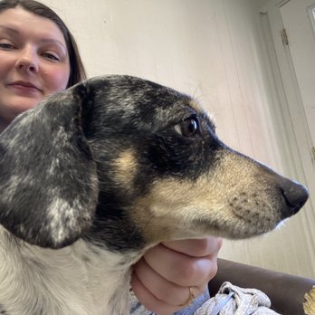 Precision Body Works - Friendly animal friends while waiting in the office for the repair - Body Shops Near Me - Longview, Texas Precision Body Works - Friendly animal friends while waiting in the office for the repair - Body Shops Near Me - Longview, Texas