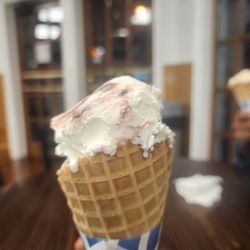 Scoops the Ice Creamery - 1 Scoop
