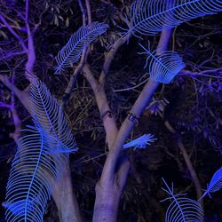 Lightscape San Diego